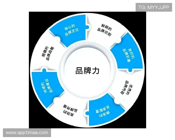 利用k8.com官网进行品牌推广的实用技巧，提升企业市场影响力