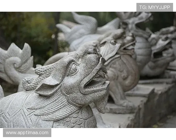 详解K8网站登录入口的重要性及使用方法