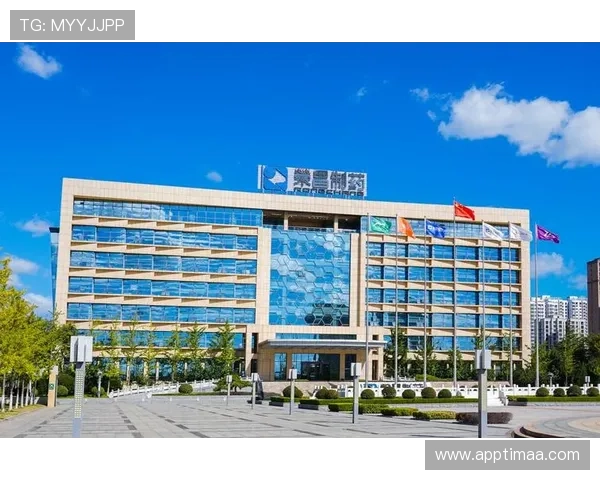 凯发k8国际首页登录网页版最新安全措施，保障玩家个人信息和资金安全的全面保障